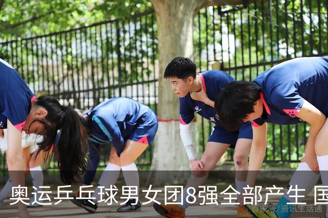 奥运乒乓球男女团8强全部产生 国乒男队将战韩国