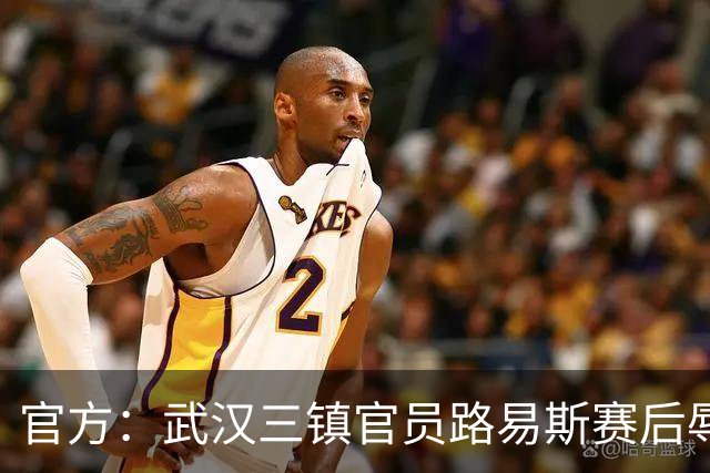 官方：武汉三镇官员路易斯赛后辱骂裁判员，被禁赛5场并罚款5万元